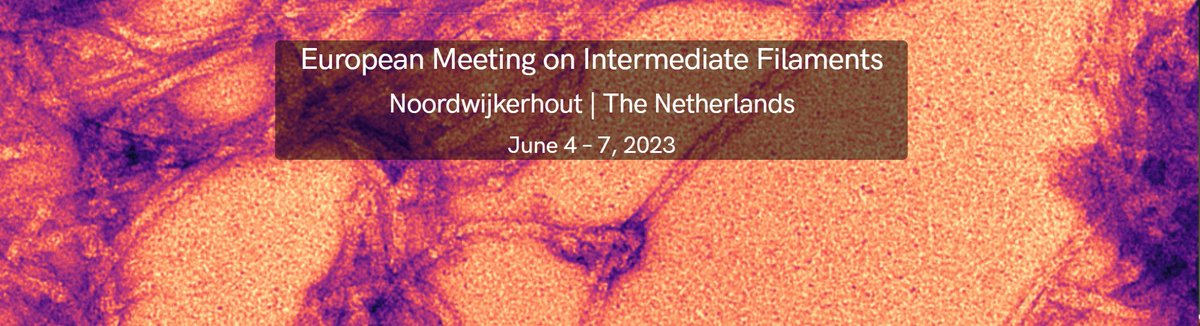 Elly Hol (@elly_hol) on Twitter photo Are you interested in the biophysics and biology of Intermediate filaments in health and disease?
Then join us in Noordwijkerhout June 4-7, 2023 euro-if-2023.org. We will select additional oral presentations from abstracts - deadline March 1! <a href="/EuroIF2023/">European Intermediate Filament Meeting 2023</a> <a href="/ConnectingIFs/">Connecting Intermediate Filaments Seminars</a> Are you interested in the biophysics and biology of Intermediate filaments in health and disease?
Then join us in Noordwijkerhout June 4-7, 2023 euro-if-2023.org. We will select additional oral presentations from abstracts - deadline March 1! <a href="/EuroIF2023/">European Intermediate Filament Meeting 2023</a> <a href="/ConnectingIFs/">Connecting Intermediate Filaments Seminars</a>
