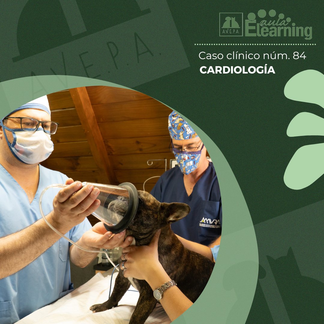 AVEPA_vet's tweet photo. El 75% de las #enfermedadescardiacasperro son debidas a #degeneraciónválvulamitral.
Si te gusta la #cardiologíaveterinaria revisa el #casoclínico núm. 84 del #aulaelearningAVEPA
#veterinaria #enfermedadvalvularperro #endocardiosismitral #formacionveterinaria #avepaelearning https://t.co/BJEiV1agWT