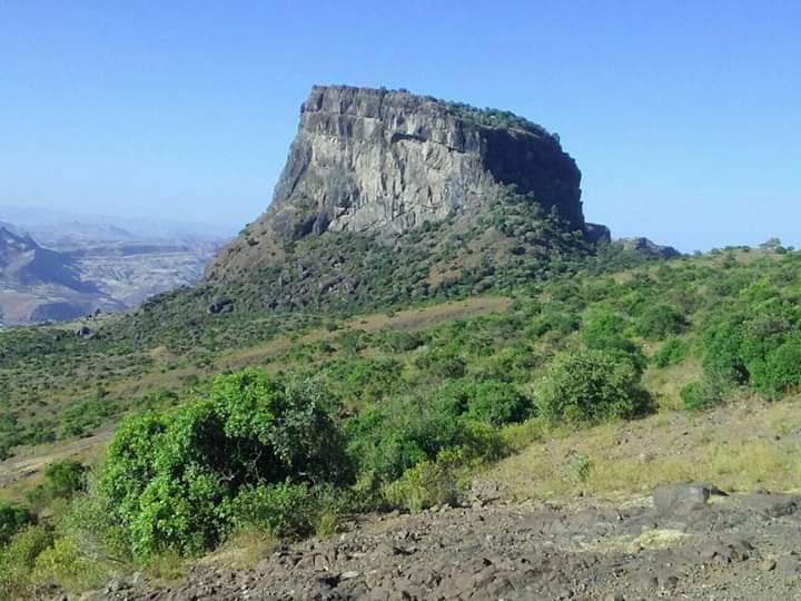 Hadgitourism's tweet photo. #TemezoMariam, much like #DebreDamo, sits on an inaccessible circular plateau high up a mountain. You've to climb up vertically using twisted jungle vines. The monastery is located in #Bora #Chelena in #Tigrai, on the upper valley of #Tekeze. https://t.co/G5RONJqtyK