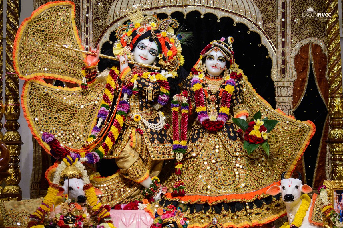 ISKCONPune's tweet photo. Today's 02/02/2023 Darshan
Sri Sri Radhavrindavanchandra
#iskconnvcc10thanniversary
#ISKCONNVCC #ISKCONPune #ISKCON
#PUNE #DailyDarshan #harekrishna
#Thursday #2ndfebruary #2ndfebruary2023
#nvcc #radhavrindavanchandra
#iskcondesiretree #harekrsnatv #art
#harekrsnatelevision https://t.co/yBeugWEbif