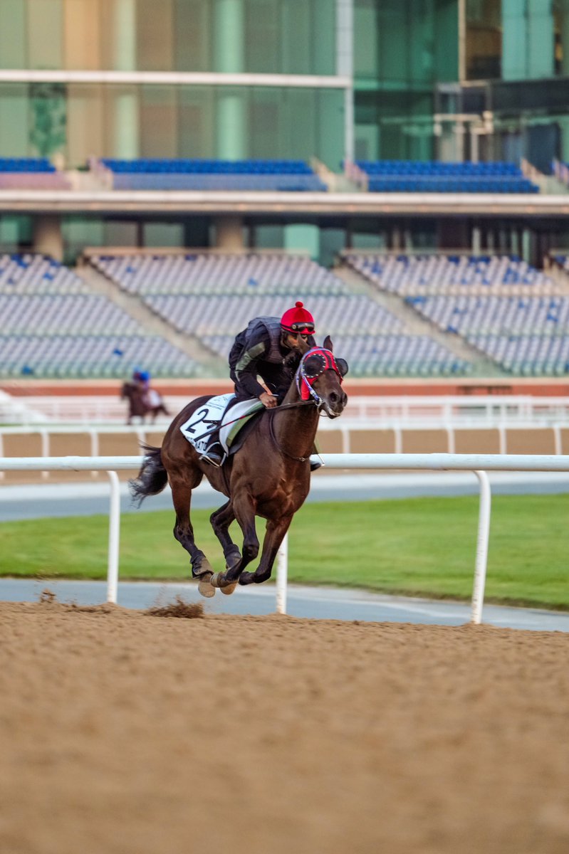 Who did we spot this morning? 📸

Magical Morning <a href="/almracing/">Amy Murphy Racing</a> 🇬🇧
Final Dance <a href="/gokcoskn/">Gökhan Coşkun</a> 🇹🇷
Bay Of Plenty <a href="/JohnnyMurtagh/">Johnny Murtagh</a> 🇮🇪
King Of The Match 🇰🇷

#DWCCarnival