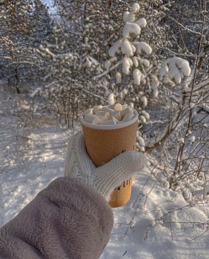 PenalverCondesa's tweet photo. Maravilloso día ❄️
#BuenosDiasMundo 
#FelizJuevesATodos https://t.co/3yQhodJHFe