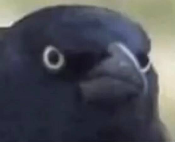 Hoy es de esos días donde me gusta mi vida adulta. Solo me gustaría un poco más de horas al día, una cafetera profesional con grano de café inagotable y un sótano con vinos. Ya nomas eso