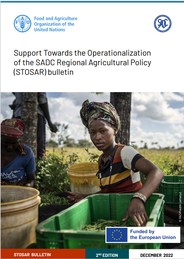 UNinSouthAfrica's tweet image. #ReadAllAboutIt: Find out more about how an #EU funded project has developed agricultural best practices in the #SADC region resulting in access to lucrative export markets in the 2nd edition of the #STOSAR Bulletin. 

↪️:bit.ly/3ZOaaqI