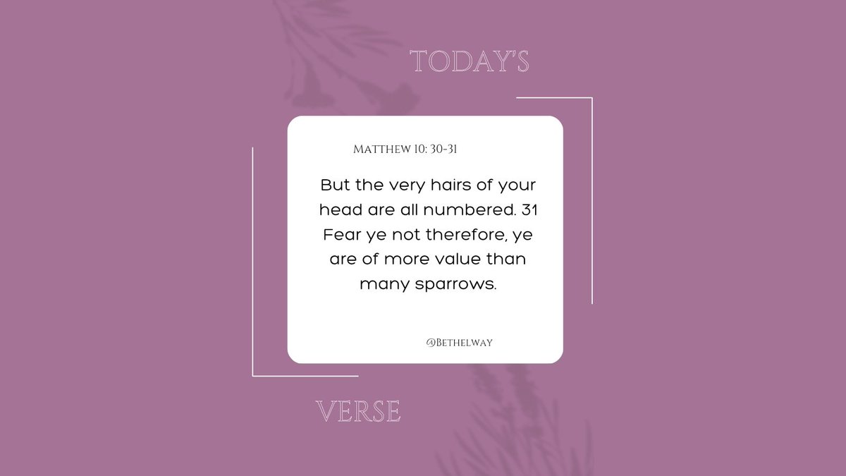 BethelWay's tweet photo. Today's Word 

Matthew 10:30-31
But the very hairs of your head are all numbered. Fear ye not therefore, ye are of more value than many sparrows.

#Bible #VerseOfTheDay #BlackHistoryMonth #bethelway https://t.co/jcFLVTTVzo