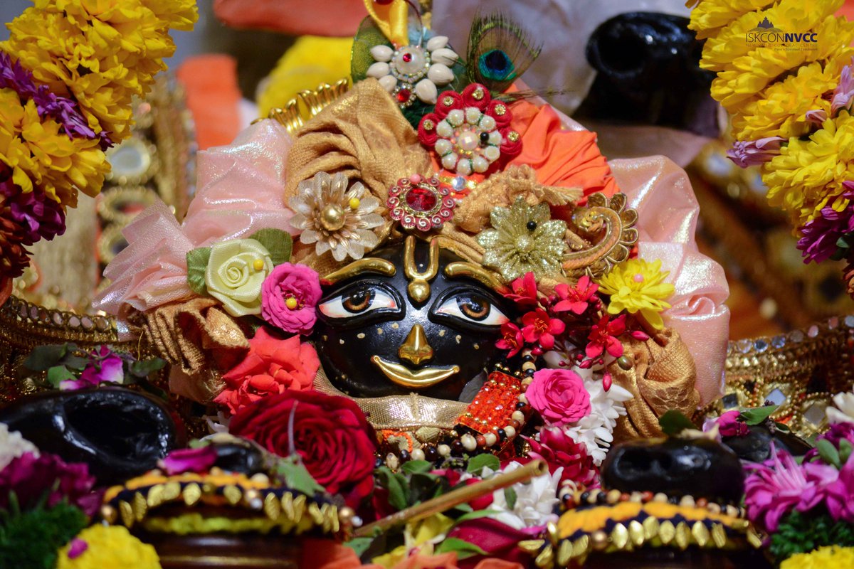 ISKCONPune's tweet photo. Today's 02/02/2023 Darshan
Sri Sri Jagannath Baldev Subhadra
#iskconnvcc10thanniversary
#ISKCONNVCC #ISKCONPune #ISKCON
#PUNE #DailyDarshan #harekrishna
#Thursday #2ndfebruary #2ndfebruary2023
#nvcc #radhavrindavanchandra
#iskcondesiretree #harekrsnatv #art
#harekrsnatelevision https://t.co/lG0yGktmnA