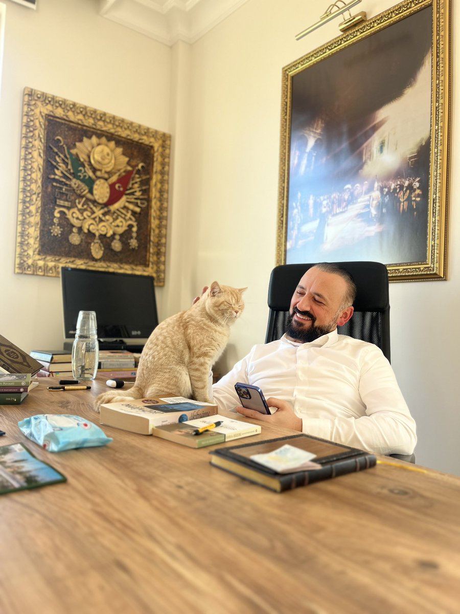 #satınalmasahiplen #cat #dua #hayvansevgisi #HayvanaSiddetSuctur