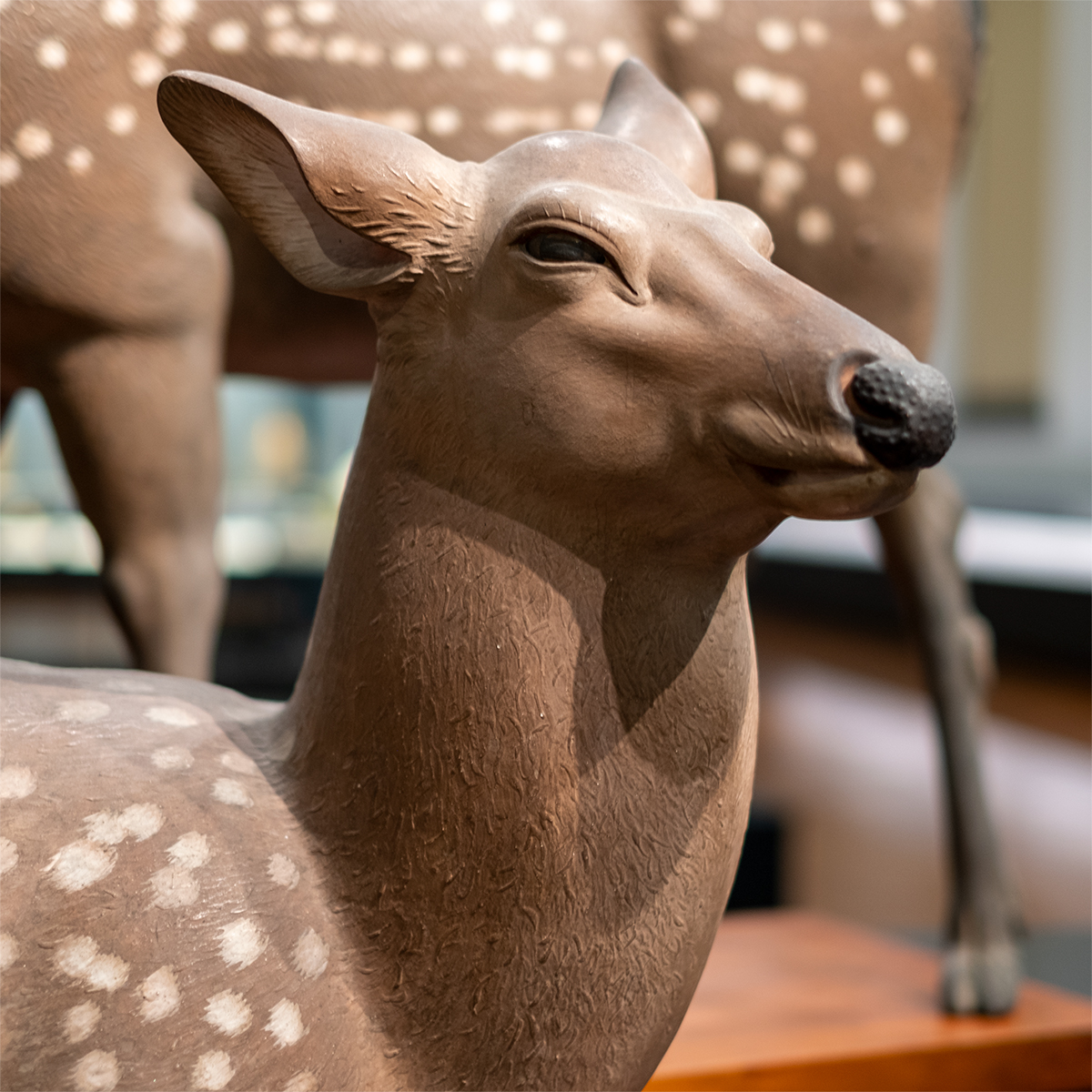 動物彫刻を得意とした森川杜園の七十三歳の作品です。1893年のシカゴ