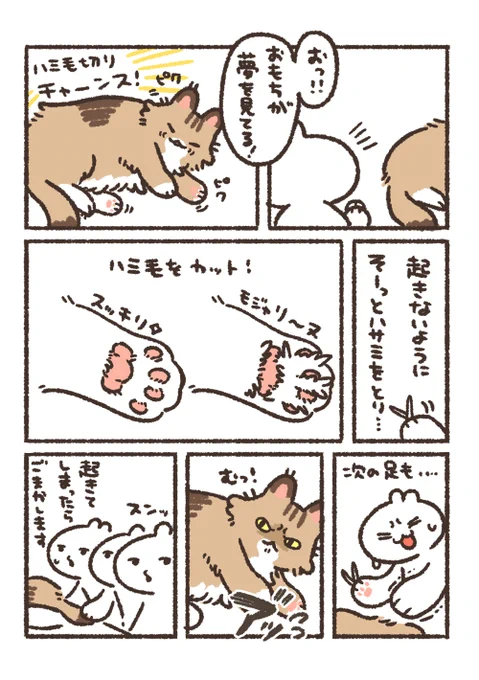 長毛の御猫様飼ってるみんなはハミ毛カットどうしてる…?
私は地道に夢を見ている隙にこっそりちょっとずつカットしてます…!✂(すぐバレる) 