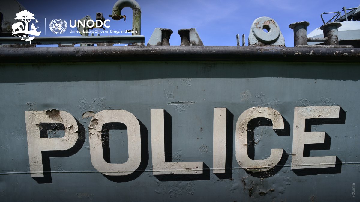 To end #crimesinfisheries @UNODC_MCP provides maritime law enforcement personnel, customs officers, port authorities, fisheries authorities, navies, coastguards & prosecutors with the skills they need to handle these crimes at sea, in ports and in court.