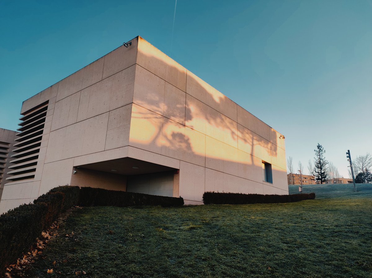 Proyecciones en <a href="/Museo_unav/">Museo UNAV</a> 
#lobelloylosublime