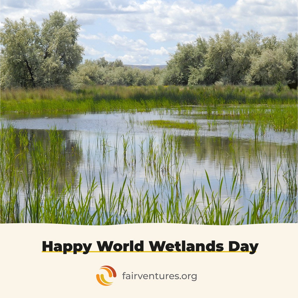 'Celebrating the vital role of #wetlands in our ecosystem on #WorldWetlandsDay2023! Let's work together to protect and preserve these valuable habitats for future generations.' #WorldWetlandsDay #WetlandsMatter