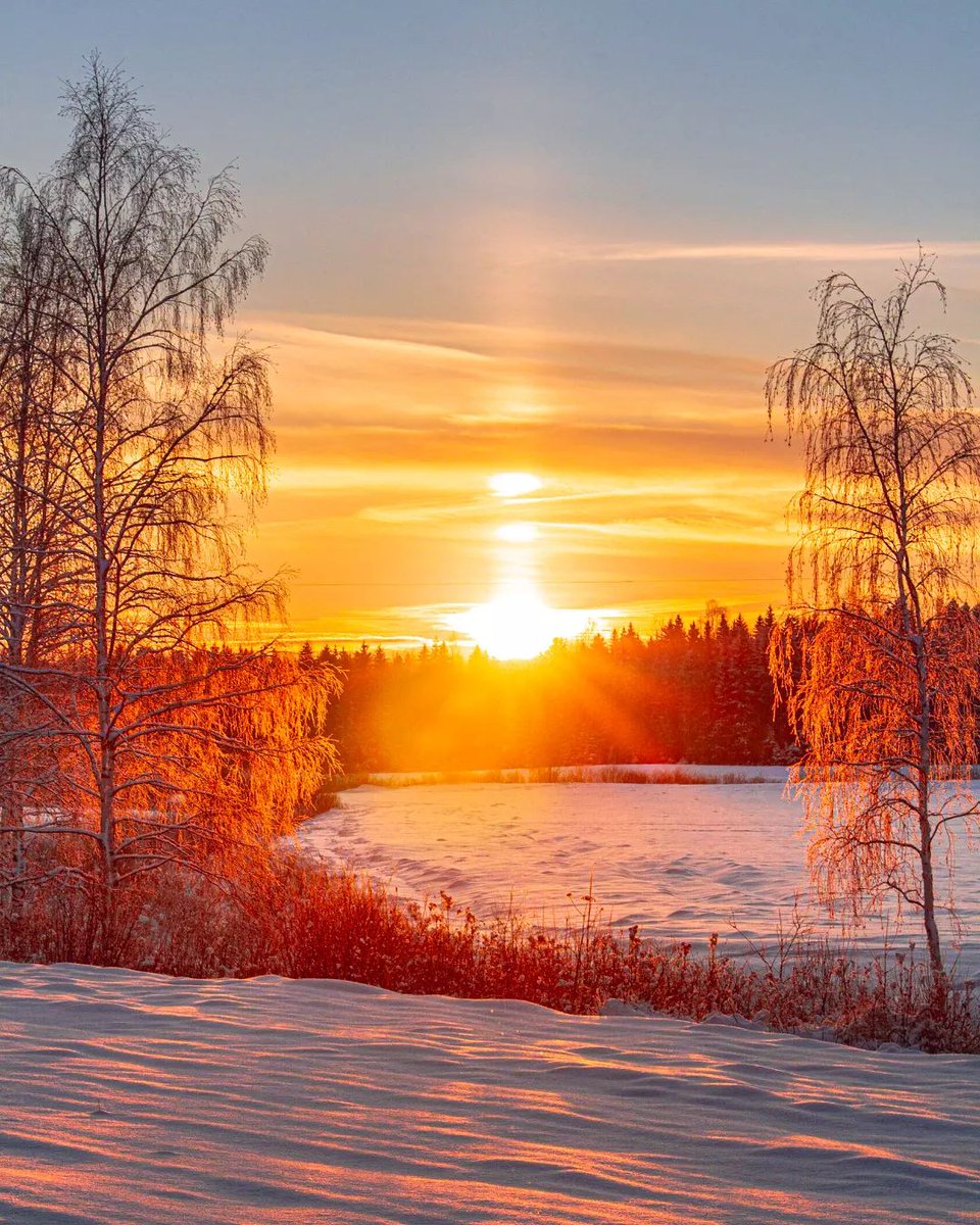 Good morning 💛❄️