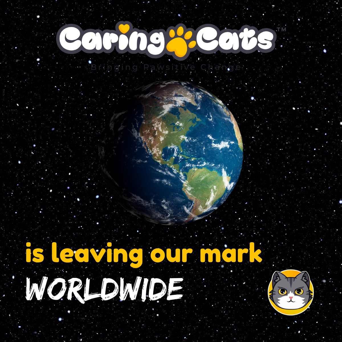 The #CaringCats charity of #Catcoin is doing good worldwide. A current focus is Spain with <a href="/CatlandJavea/">Catland Javea</a> 

#CatcoinArmy