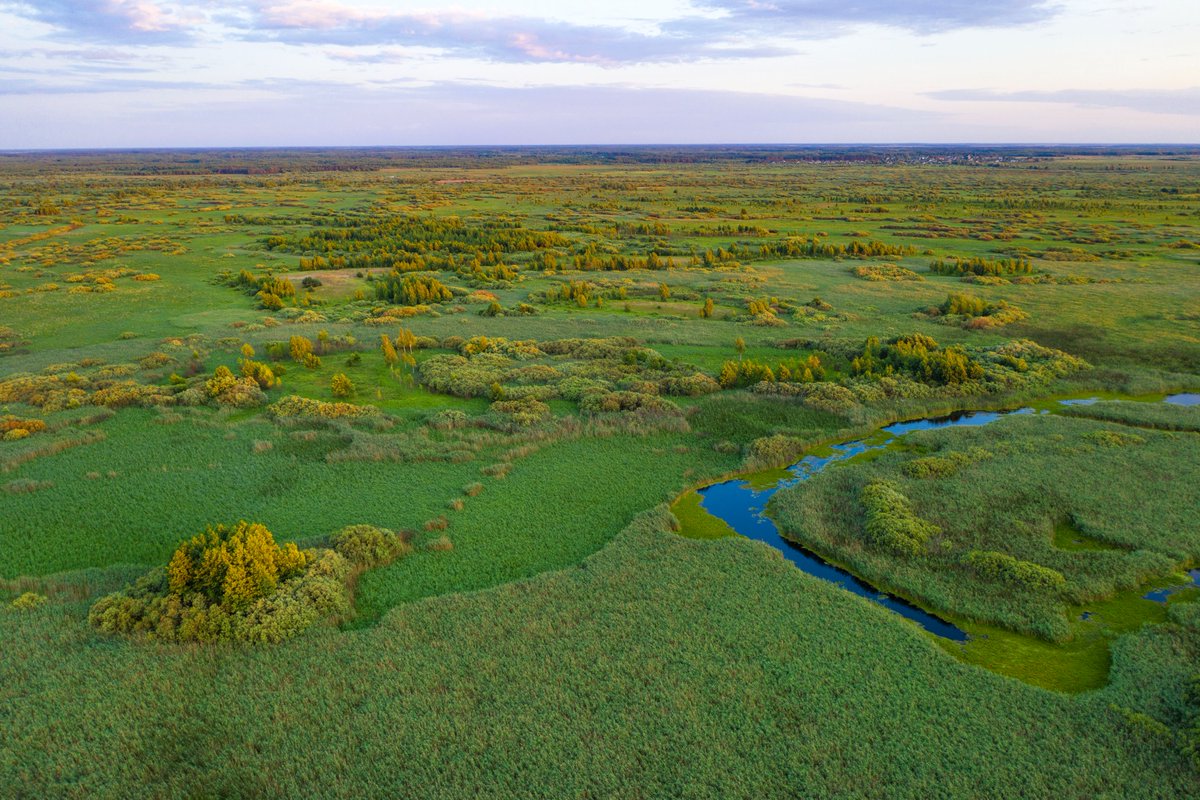 #Wetlands are home for 40% of the world's biodiversity but disappearing faster than any other ecosystem on Earth.

That’s why we say no to #E40Waterway that threatens #Polesia, the Europe’s largest wetland wilderness.

#WorldWetlandsDay #savePolesia #stop_E40