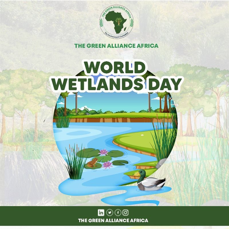 The Green Alliance Africa tweet media