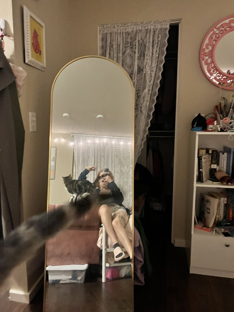CabbageMichelle's tweet photo. me biting the paparazzi after she picked me up while i was in ZOOMIE mode https://t.co/gMV0wyqhUF