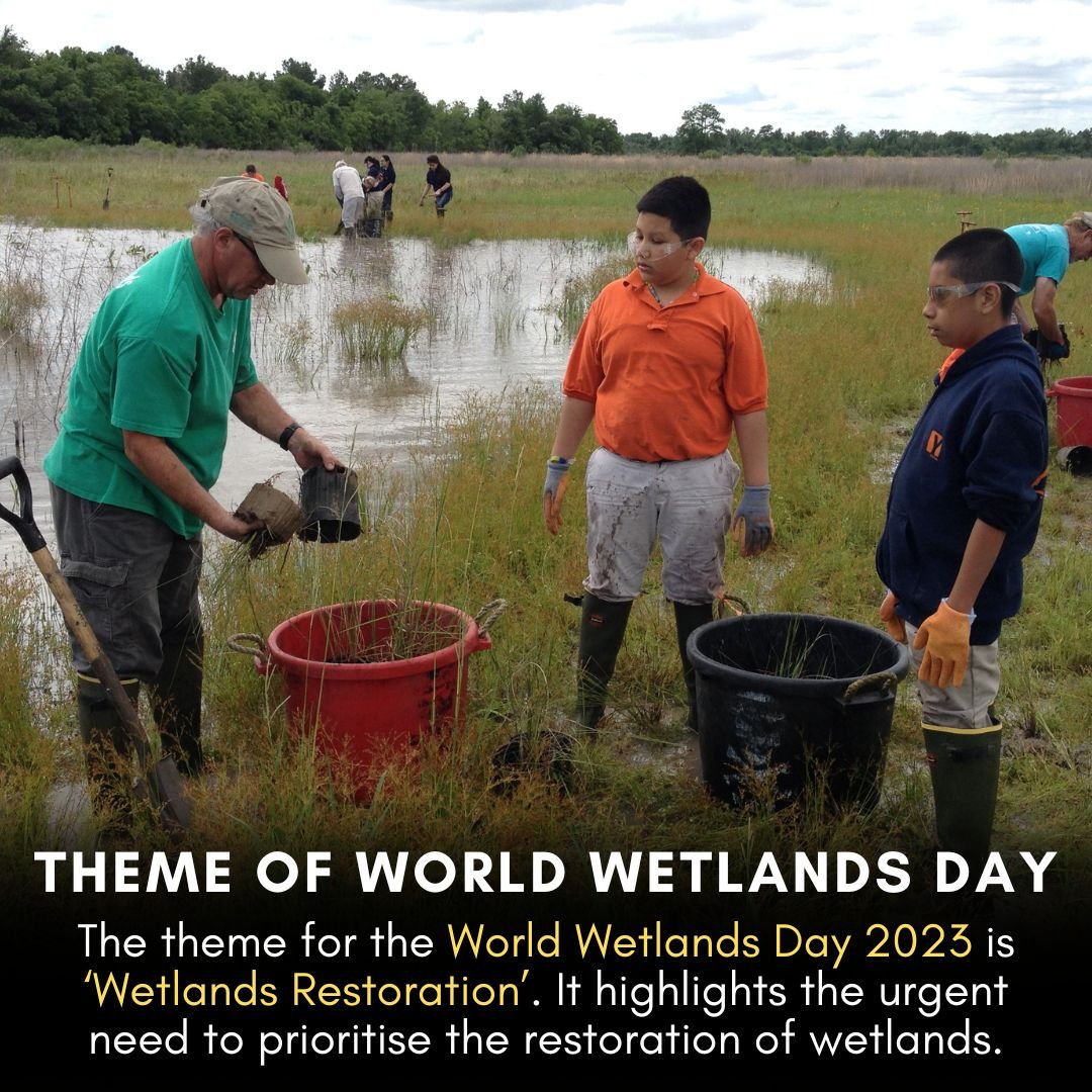 The wetlands are responsible for a very diverse ecosystem and the ecosystem will be spoiled if the wetlands cease to exist. Swipe to know more about it.

#worldwetlandsday #GenerationRestoration #ForWetlands #WeNeedWetlands #wetlandsireland  #thejuniorage