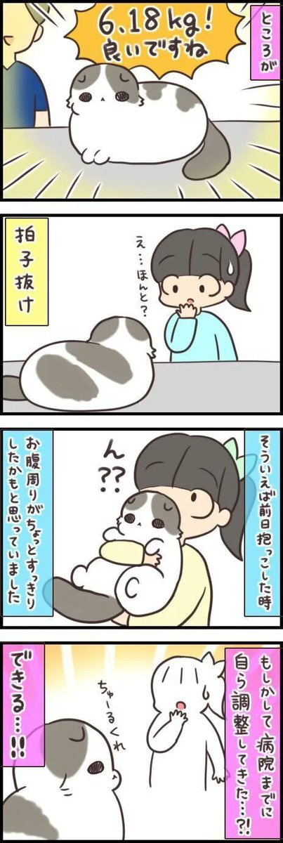 猫も人間も体重管理には敏感になるもの【連載】もふもふスコたん#263|ねこのきもちWEB MAGAZINE https://t.co/PKg3LiWHVl 