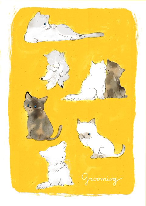 「座る 白い猫」のTwitter画像/イラスト(新着)｜5ページ目