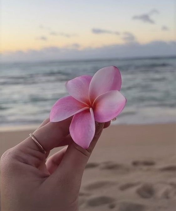 dreamyyarchive's tweet photo. 🐬🌸☀️🐚 https://t.co/vw0EJhiVcu