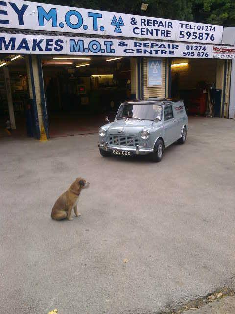 Throwback Thursday... Lord Henry guarding the Minivan... Much missed garage pal... We used to put the worlds to right after long tough days... Quite simply the best dog I have ever had.... I already know what sort of breed I want next... Ace...