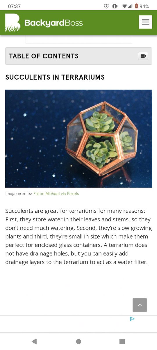 MAKE IT STOP MAKE IT STOPPPPPP