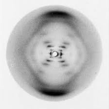 LindaDoyle's tweet image. Our new sculpture of Rosalind Franklin  in #TCDOldLibrary has a crystal necklace - apt for the x-Ray crystallographer extraordinaire. I was thinking today of her famous (&amp;amp; used without her permission) photograph 51 - instrumental in discovering the structure of DNA 🧬🧬🧬