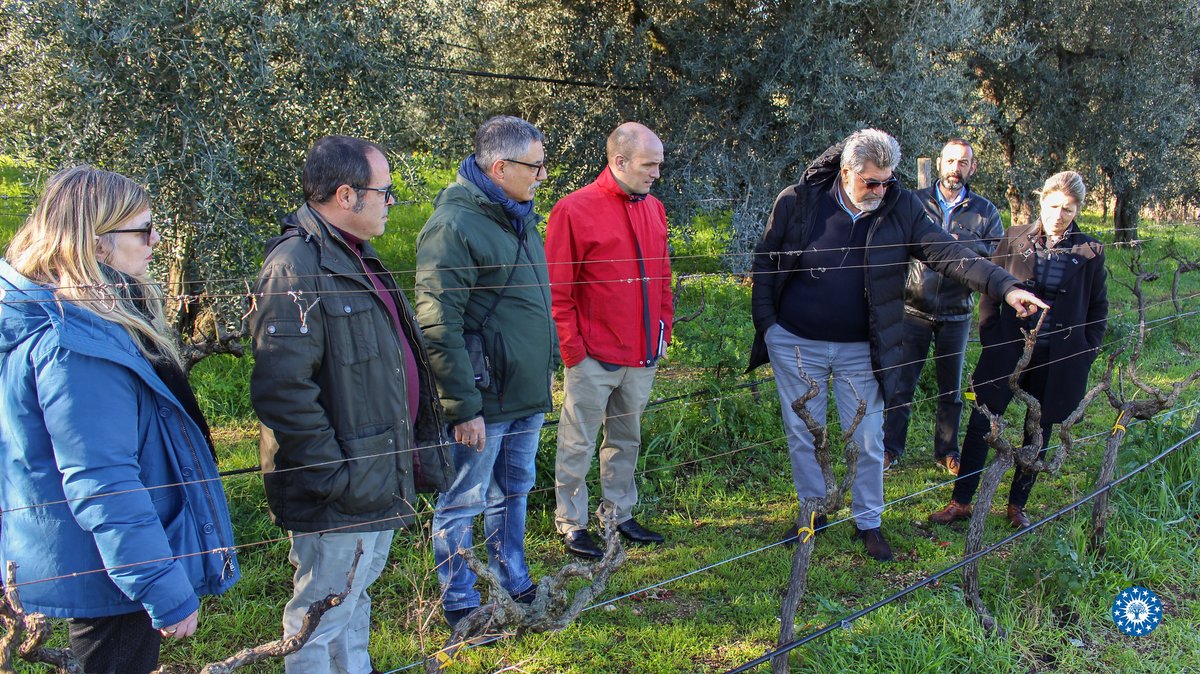 CIHEAMZaragoza's tweet image. 📸We are in #Bari taking part in the first meeting of #CIHEAM Corporate Working Group on #Forestry.

💪Strengthening the coordination of efforts among the 4️⃣CIHEAM Institutes together with our partners in the sustainable management of #Mediterranean #forests.