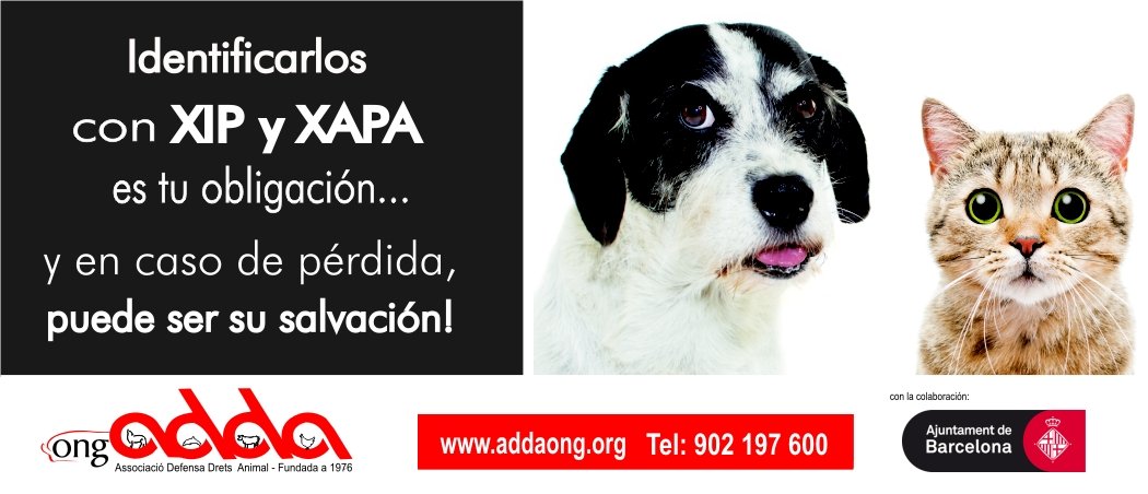 Ong ADDA (@ADDAONG) / Twitter Ong ADDA (@ADDAONG) / Twitter