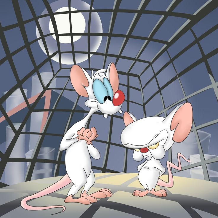 How "Brain" kept losing and kept on trying again over and over taught me a valuable lesson about life...