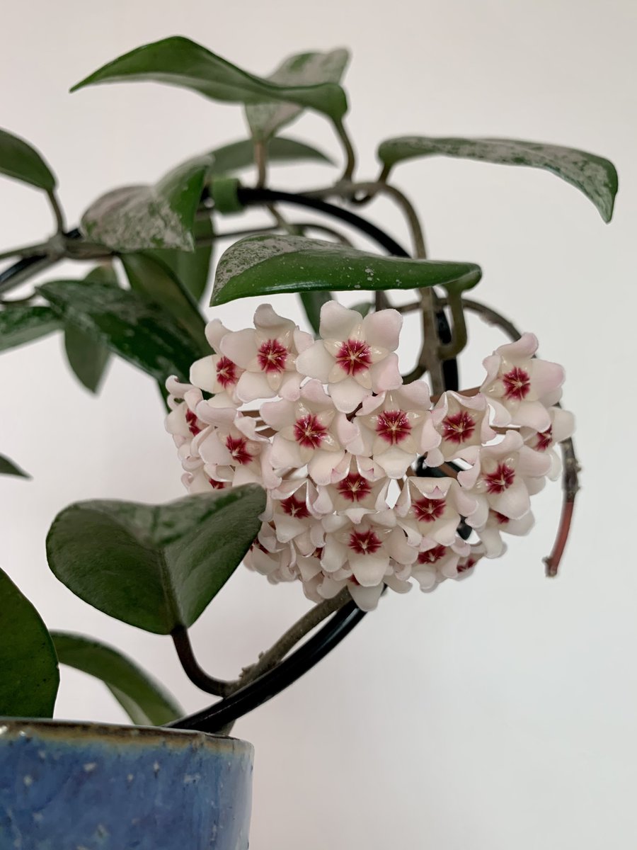 섬 ⛵️🕯️ tweet media