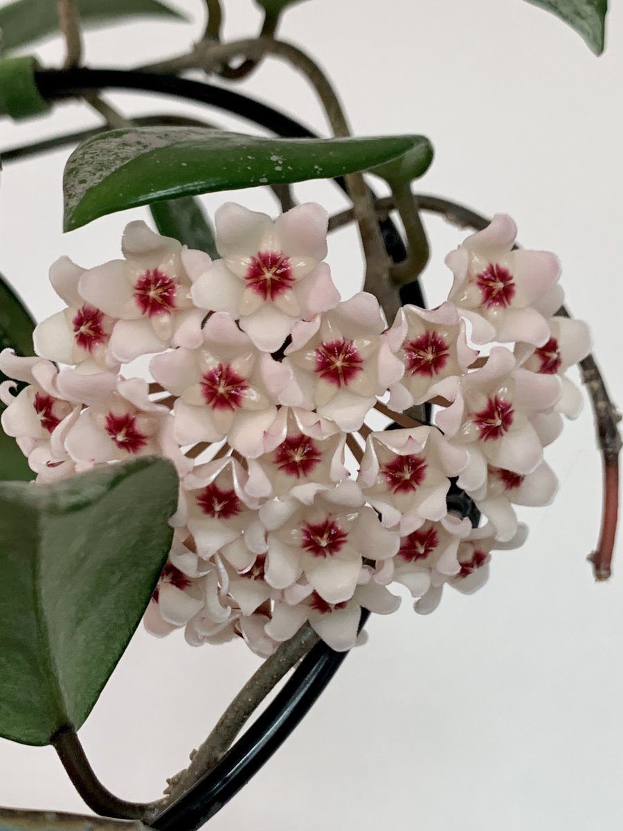 섬 ⛵️🕯️ tweet media