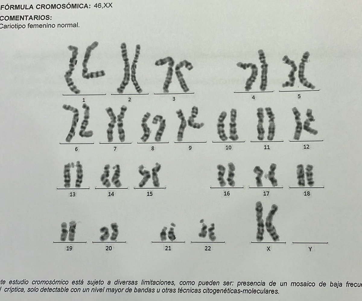 MamiSolteraToBe's tweet image. Y cariotipo normal! ✅ #mspe #infertilpandy #retobebe2023