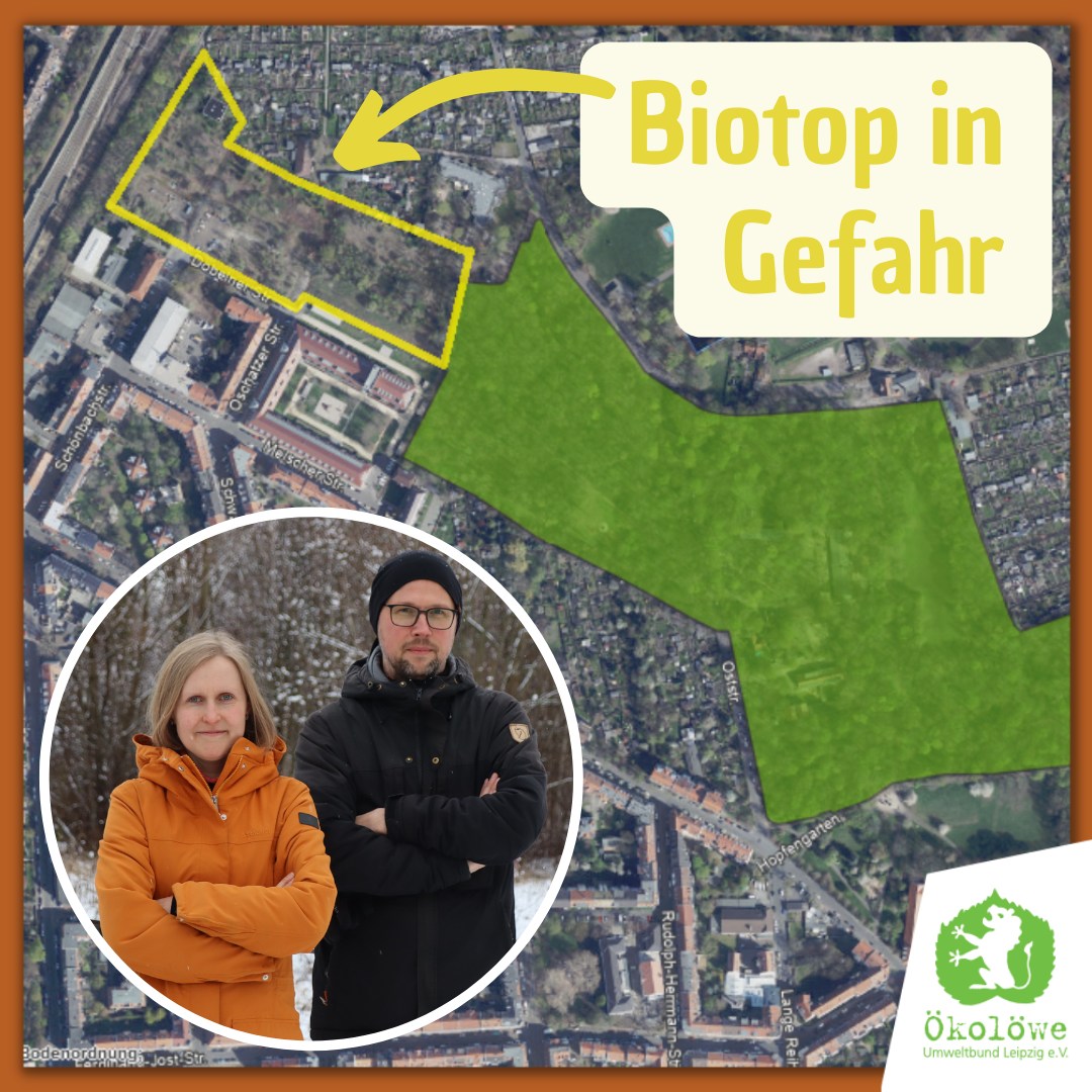 Die <a href="/StadtLeipzig/">Stadt Leipzig</a> will für den Immobilienkonzern #Vonovia ein Biotop am Stötteritzer Wäldchen in Baufläche umwandeln 🏗️ Ökolöwen-Mitglied Jana hat deshalb eine Petition gestartet ✍️🌳. Bitte helft Jana, das Biotop zu retten❗️ Alle Infos samt Petition 👇 oekoloewe.de/umweltpolitik-…