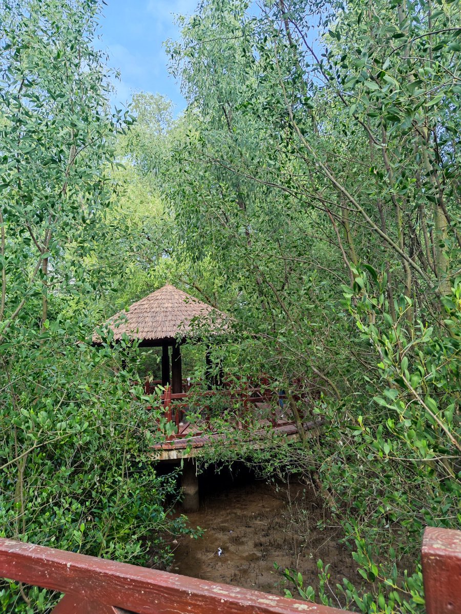l96469767's tweet photo. 在这里跑步，感觉肺部都焕新了，保护湿地，人人有责
#湿地 #环保 #爱护环境 https://t.co/1HBxz3CyKN