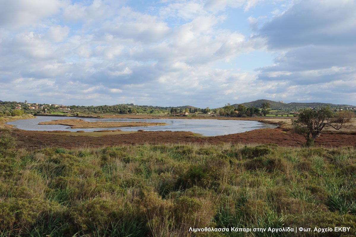 ΕΚΒΥ tweet media
