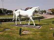 MikeWass2's tweet photo. OTD 1991 Desert Orchid (Richard Dunwoody) won the Agfa Diamond Chase @Sandownpark it was to be his last career victory.  A career of 34 wins including a Cheltenham Gold Cup, 4 x King George VI Chase, Whitbread Gold Cup &amp; 🇮🇪 Grand National. 🏇 🌟#EquineLegend #RacingMemories https://t.co/q96AV1cfpo