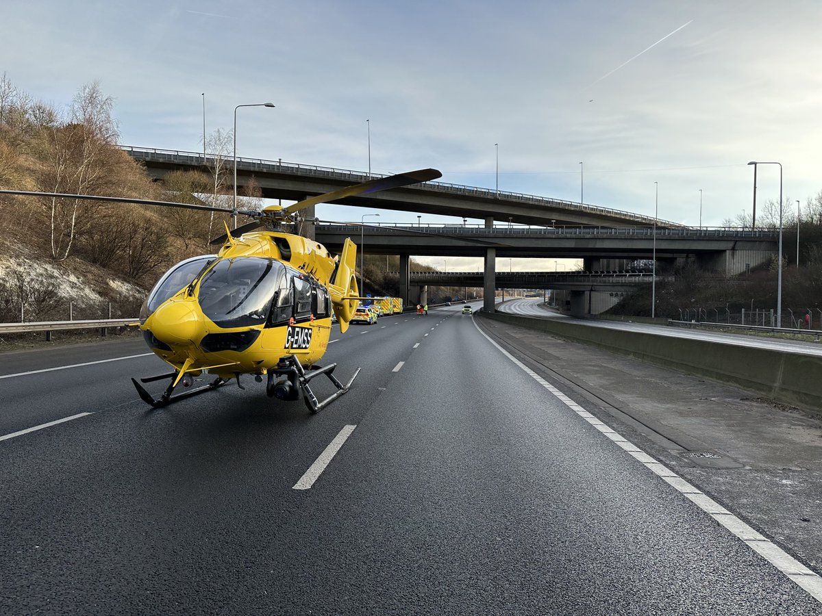 Angry Palmtree tweet media