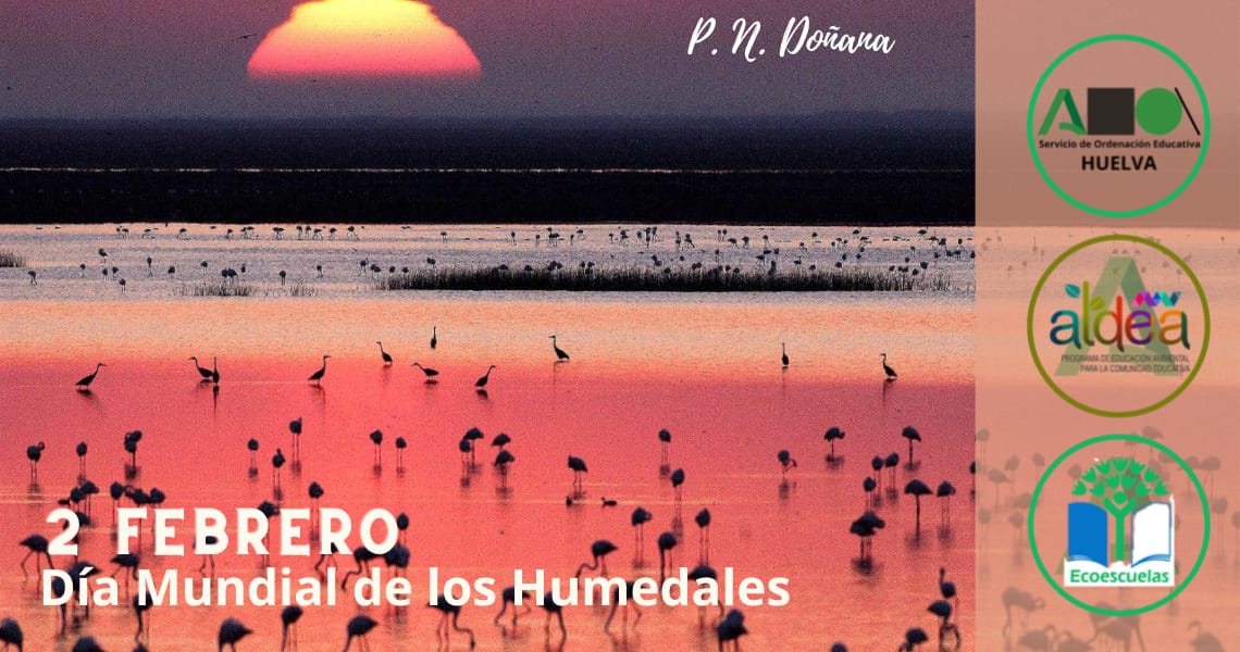 Humedales de Doñana
El Parque Nacional  y los humedales de #Doñana constituyen un ecosistema singular en el que viven especies únicas, se trata del humedal más grande de Europa. Cuidémoslo!