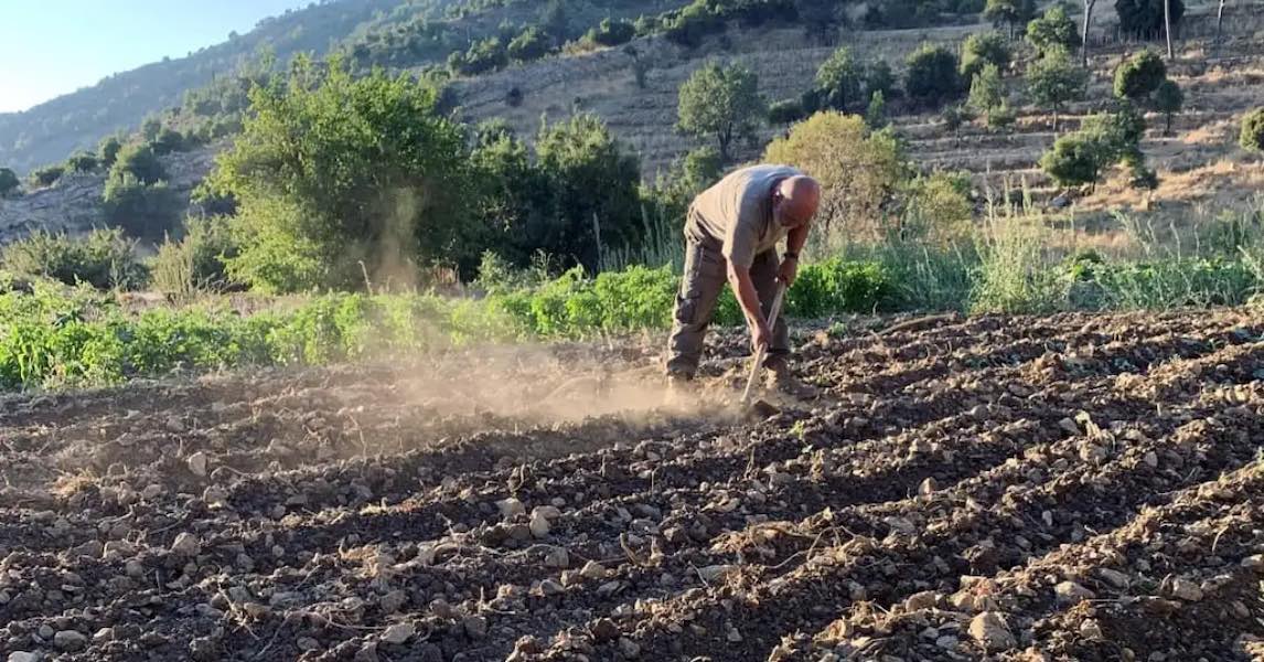 👨‍🌾"Lebanese #agrifood production is diverse, with a broad range of traditional and innovative products exported to regional and international markets."

Find out more on Lebanese #agriculture and its future.

➡️berytech.org/lebanese-agric… 

by <a href="/karem_monzerr/">Karem</a> via <a href="/berytech/">Berytech</a> #Lebanon 🇱🇧