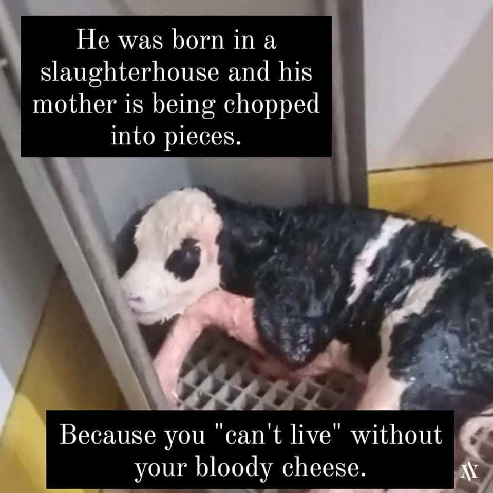 😭😭😭😭😭😭💔💔💔💔💔💔💔