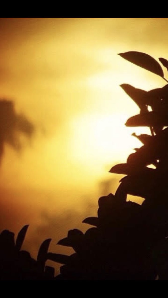 vrundavs's tweet image. Before…,
The night….
Unfolds…
#somewhereontheway #settingsun #vrupix