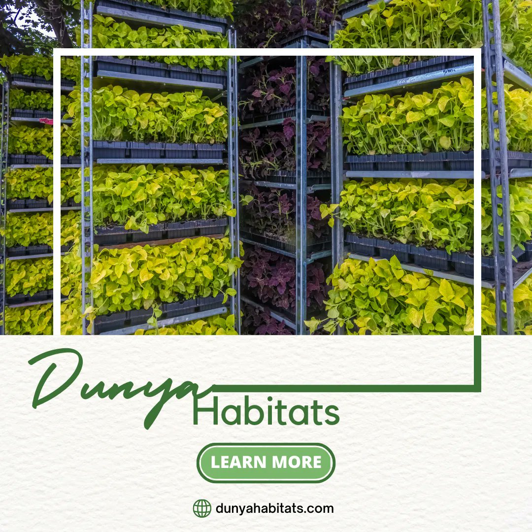 📍 dunyahabitats.com 

Growing food locally.