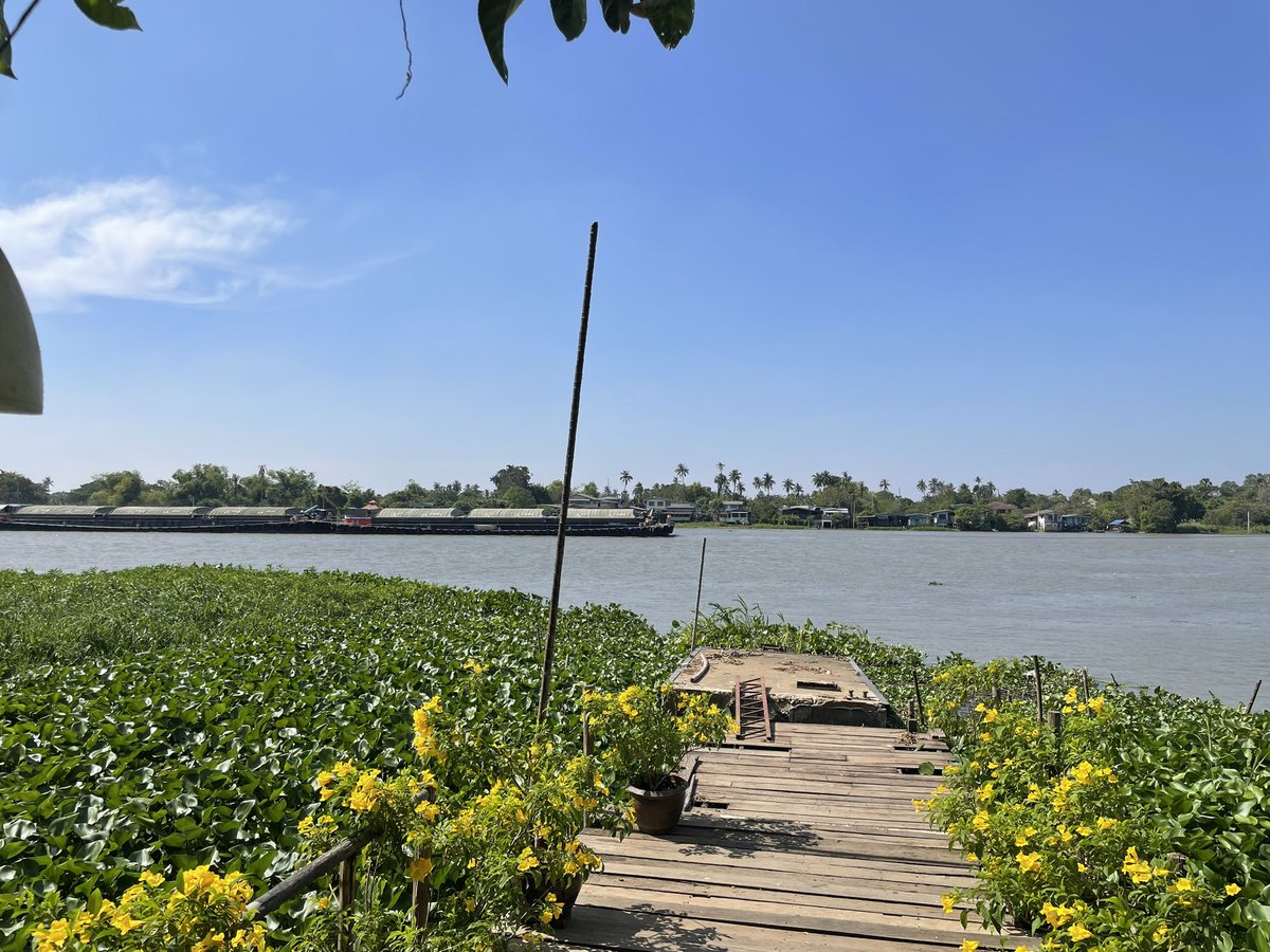 AvonCong's tweet photo. Money experience in Thailand in January
#twitfi https://t.co/TU3Mlrn3Ir