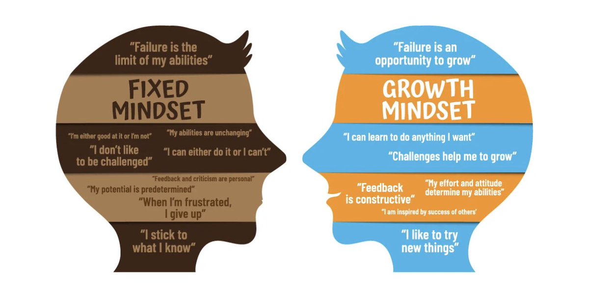 Fixed Mindset  X Growth Mindset💡