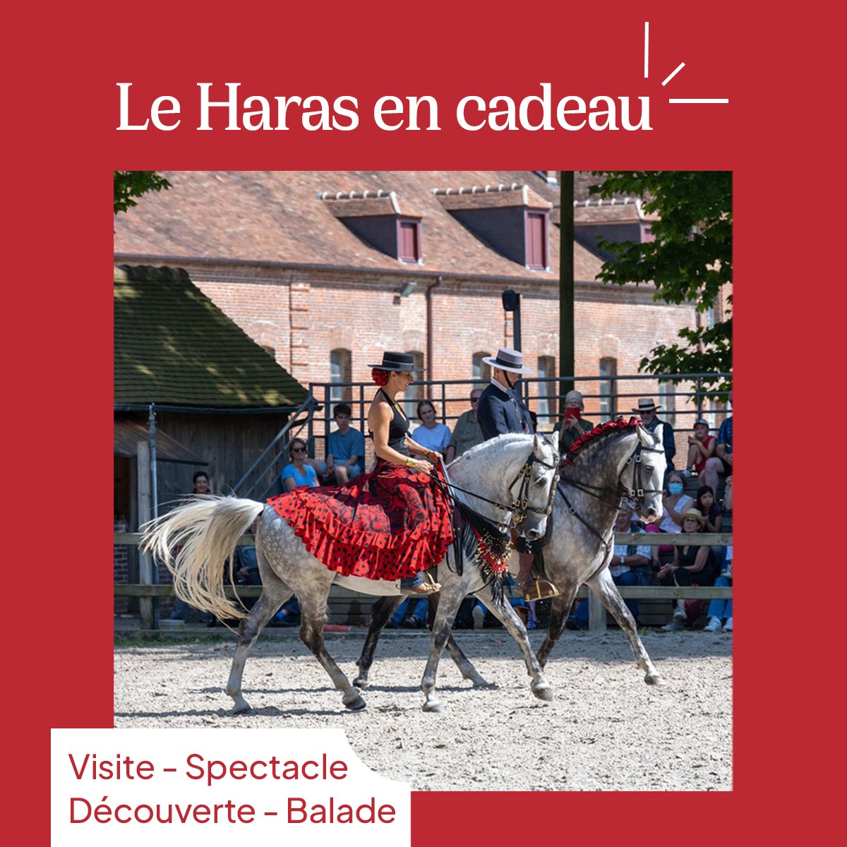 's tweet image. 🎁 Pour la #SaintValentin, offrez une carte #cadeau du #HarasduPin 🙌🏼 

Visite, spectacle, balade, découverte...de quoi passer un moment qui sort de l'ordinaire avec votre moitié 🥰

Découvrez nos coffrets 👉 bit.ly/3IQEWZI

#ideecadeau #Normandie