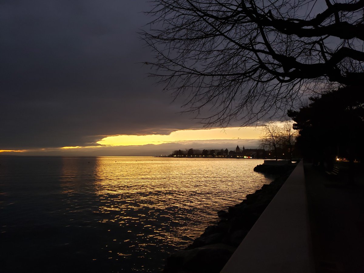 MartiGiamp's tweet photo. Good morning Lausanne! Ready for the AGORA workshop series Multimodal Imaging in life sciences and cancer research! Representing the group of Prof. @BettinaWeigelin  and the @WSIC_Tuebingen and @CoE_iFIT. #multiscaleimaging #Lausanne2023 https://t.co/26LUQQy00C