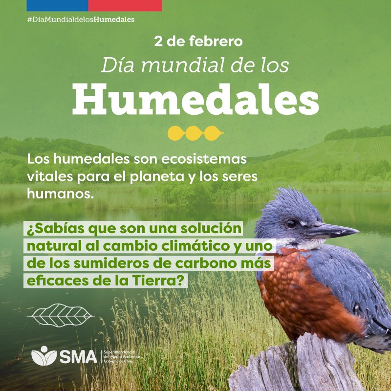 SMA_CL's tweet image. Hoy se celebra el #DíaMundialdelosHumedales 🌿

¿Sabías que estos ecosistemas cumplen un rol muy importante para el bienestar del planeta y que son esenciales para el combate al cambio climático?