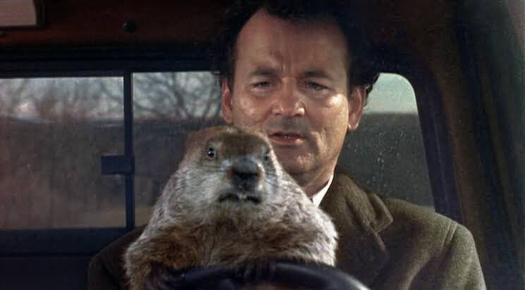 Hoy se cumplen 30 años del estreno de Groundhog Day!!
#GroundhogDay #BillMurray #HaroldRamis